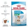 Ração para cão royal canin mini starter